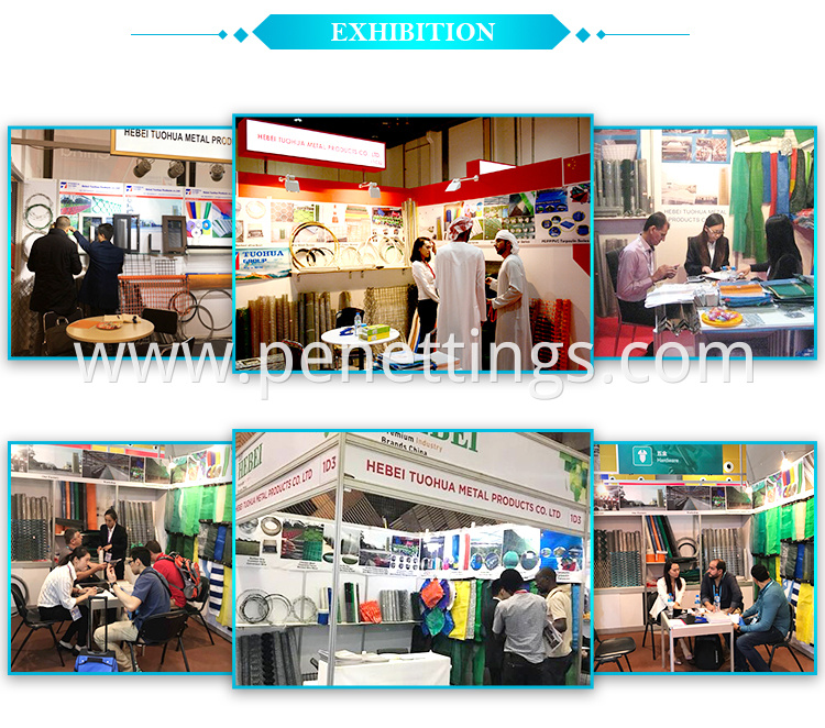 Plant support net factory Exhibition